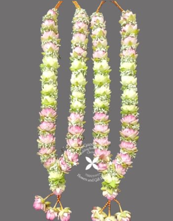 Order fresh handcrafted wedding garlands online from India’s top designers. offering pan India shipping for unique high quality fresh flower Wedding Garland wedding garlands in chennai | wedding garland online | garland online delivery chennai in india | Wedding Garland online price in Chennai | Indian wedding Garlands Jaimala Varmala | wedding Garland Order at Online