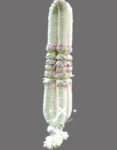 Popular Wedding Flower Garland Dealers in Chennai Top Wedding Flower Garland Dealers in Chennai Natural Flower Garland in Chennai, Tamil Nadu Wedding Garlands Price in Chennai Order Wedding Garland Online Wedding Garlands shop in Chennai Wedding & Reception Garland designs
